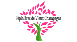 Pépinières de Vieux Champagne