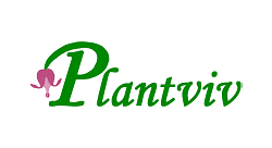 Plantviv