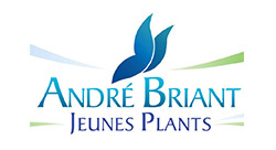 André Briant Jeunes Plants
