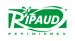 Ripaud Pepinieres 