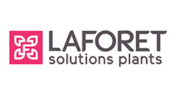 LA FORET JEUNES PLANTS