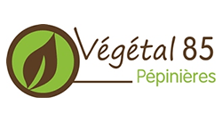 VEGETAL 85